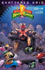 Mighty Morphin Power Rangers 30