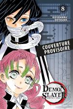 Demon slayer 8