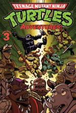 Teenage Mutant Ninja Turtles Adventures # 3