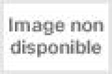 Sword art Online 11 Light novel