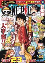 One Piece 23