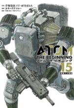 Atom - The beginning 15