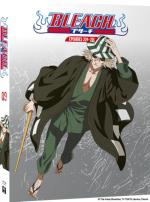 Bleach 9 Série TV animée