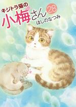 Plum, un amour de chat 28