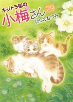 Plum, un amour de chat 29