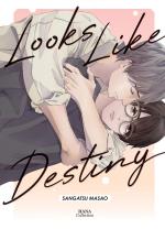 Looks like destiny 1 Manga