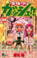 Zatch Bell 20 Manga