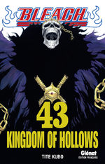Bleach 43 Manga