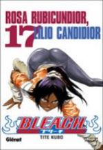 Bleach 17 Manga