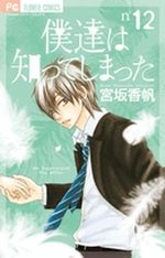A Romantic Love Story 12 Manga