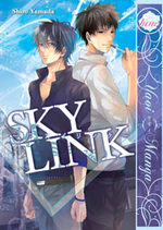 Sky Link 1