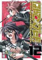 couverture, jaquette Hayate x Blade 12
