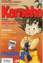 Kameha 29 Magazine de prépublication