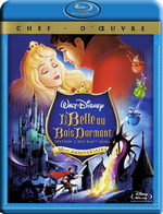 La belle au bois dormant 1