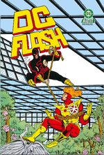 DC Flash 13