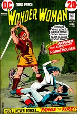 Wonder Woman 202 Comics