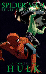 Spider-man et les héros Marvel 3