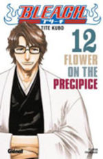 Bleach 12 Manga