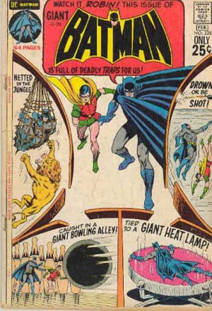 Batman 228 - Deadly Traps For Batman and Robin