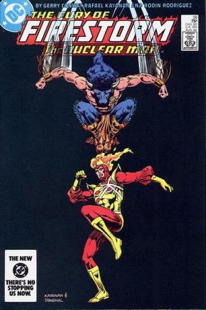 The Fury of Firestorm, The Nuclear Men # 26 Issues V1 (1982 - 1987)