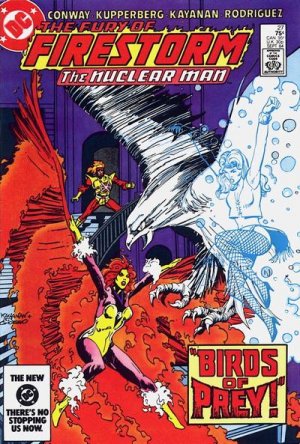 The Fury of Firestorm, The Nuclear Men # 27 Issues V1 (1982 - 1987)