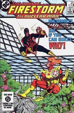 The Fury of Firestorm, The Nuclear Men # 28 Issues V1 (1982 - 1987)