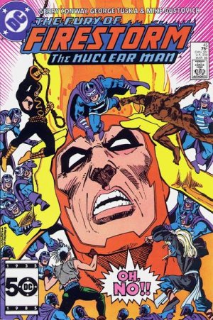 The Fury of Firestorm, The Nuclear Men 45 - A Gathering of Hate!