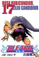 couverture, jaquette Bleach 17  (Shueisha) Manga