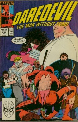 Daredevil # 259 Issues V1 (1964 - 1998)