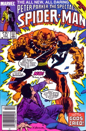 Spectacular Spider-Man 111 - ...And Then the Gods Cried.