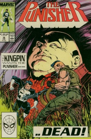 Punisher # 16 Issues V02 (1987 - 1995)