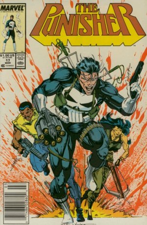 Punisher # 17 Issues V02 (1987 - 1995)