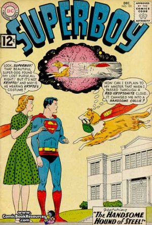 Superboy 101 - The Handsome Hound of Steel!