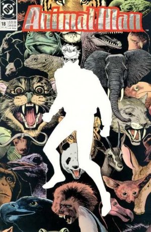 couverture, jaquette Animal Man 18  - At Play in the Fields of the LordIssues V1 (1988 - 1995) (Vertigo) Comics
