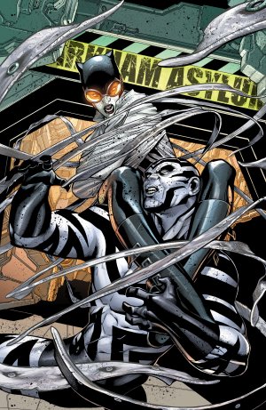 couverture, jaquette Catwoman 20 Issues V4 (2011 - 2016) (DC Comics) Comics