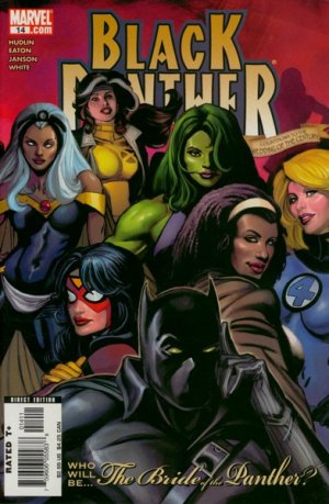 Black Panther # 14 Issues V4 (2005 - 2008)