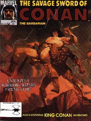 The Savage Sword of Conan # 205 Magazines (1974 - 1995)
