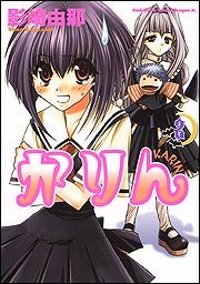 couverture, jaquette Chibi Vampire - Karin 2  (Kadokawa) Manga
