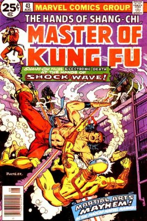 Master of Kung Fu # 43 Issues V1 (1974 - 1983)