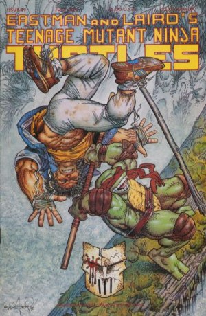 Les Tortues Ninja # 49 Issues V1 (1984 - 1993)