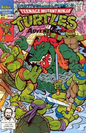 Teenage Mutant Ninja Turtles Adventures # 6 Issues V2 (1988 - 1995)