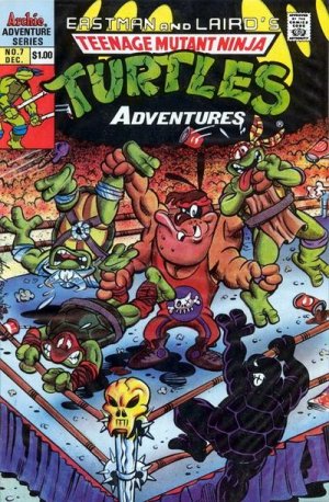 Teenage Mutant Ninja Turtles Adventures # 7 Issues V2 (1988 - 1995)