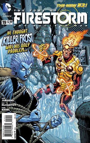 The Fury of Firestorm, The Nuclear Men # 19 Issues V2 (2011 - 2012)