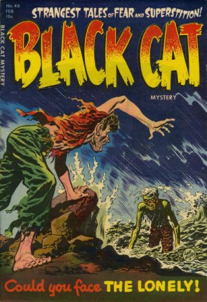 Black Cat Comics 48