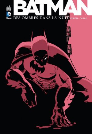 Batman - Des Ombres dans la Nuit édition TPB hardcover (cartonnée)