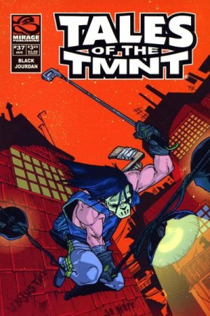 Tales of the TMNT 37 - Casey In Point