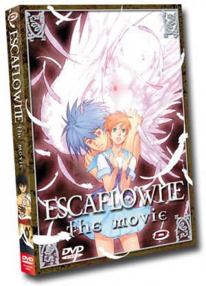 Vision d'Escaflowne édition DVD   STORYBOARD