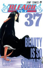 couverture, jaquette Bleach 37  (Shueisha) Manga