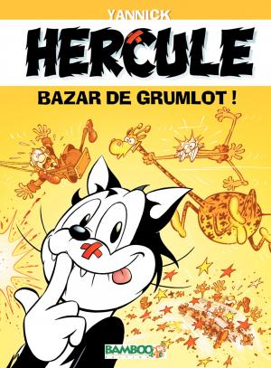 Hercule 1 - Bazar de Grumlot !