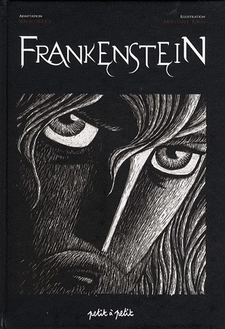 Littérature en BD 4 - Frankenstein
